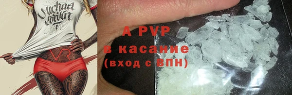 индика Липки