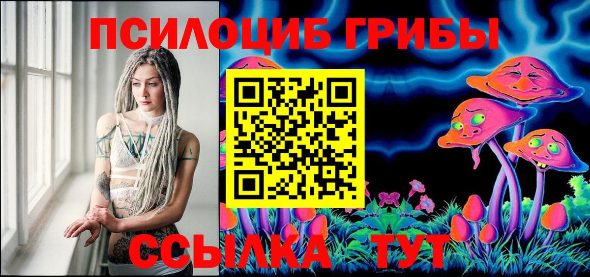 Сунжа  Псилоцибиновые грибы мухоморы  Вход с VPN 