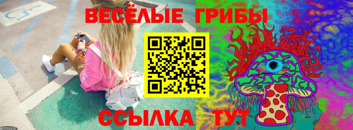 даркнет сайт  Псилоцибиновые грибы Psilocybine cubensis  Сунжа  Галлюциногенные грибы ЛСД 